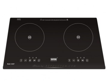 Bếp từ Giovani G-262T